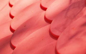 Arksey plastic roof costs